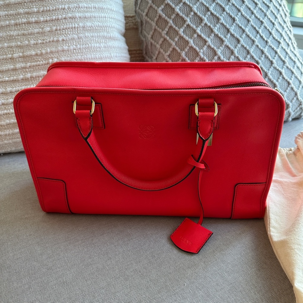 Amazona Loewe calfskin special edition vintage